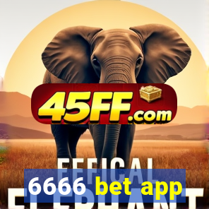 6666 bet app